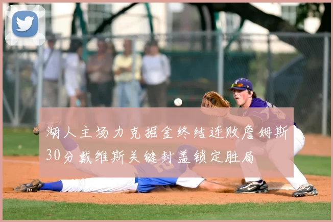 湖人主场力克掘金终结连败詹姆斯30分戴维斯关键封盖锁定胜局