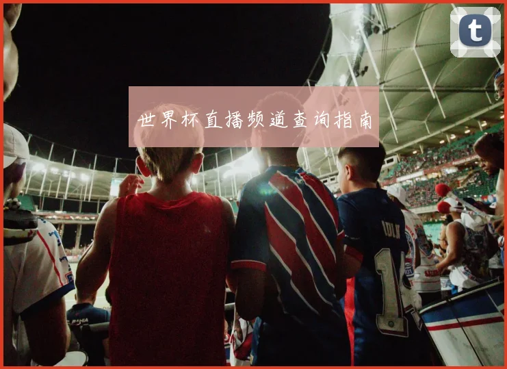 世界杯直播频道查询指南