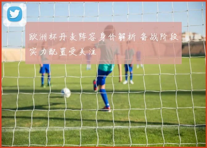 欧洲杯丹麦阵容身价解析 备战阶段实力配置受关注