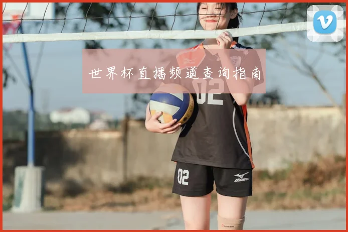 世界杯直播频道查询指南
