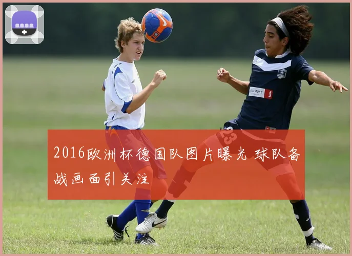 2016欧洲杯德国队图片曝光 球队备战画面引关注