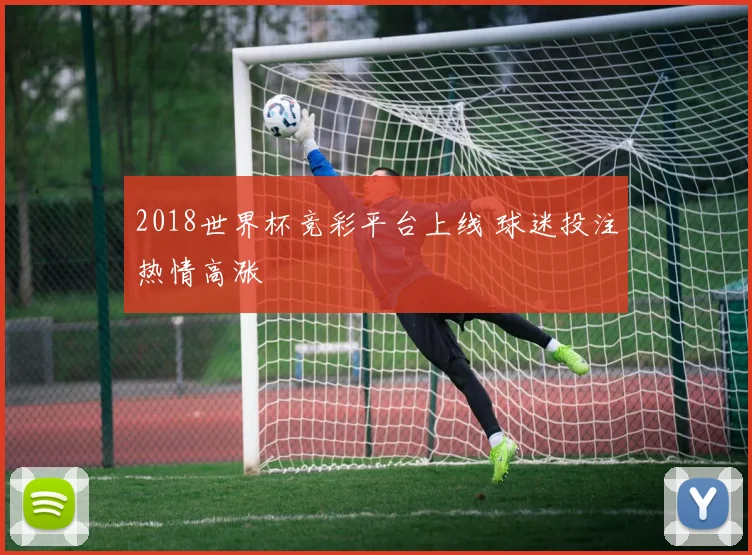 2018世界杯竞彩平台上线 球迷投注热情高涨